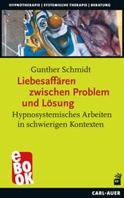 Cover von Liebesaffären zwischen Problem und Lösung