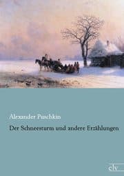 Cover von Der Schneesturm und andere Erzählungen
