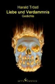Cover von Liebe und Verdammnis