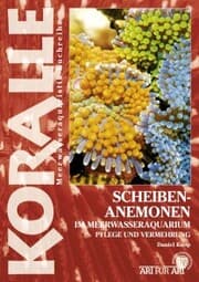 Cover von Scheibenanemonen im Meerwasseraquarium