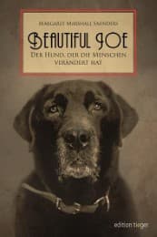 Cover von Beautiful Joe