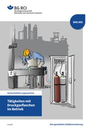 Cover von SKG 005 Tätigkeiten mit Druckgasflaschen im Betrieb