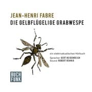 Cover von Die gelbflügelige Grabwespe