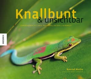 Cover von Knallbunt & unsichtbar