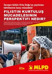 Cover von F¿L¿ST¿N KURTULU¿ MÜCADELES¿N¿N PERSPEKT¿F¿ NED¿R?