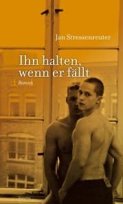 Cover von Ihn halten, wenn er fällt