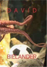 Cover von David Bielander