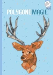 Cover von Polygone Magie