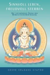 Cover von Sinnvoll leben, freudvoll sterben