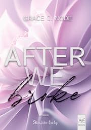 Cover von After We Broke