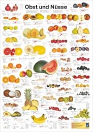 Cover von Obst und Nüsse