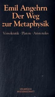 Cover von Der Weg zur Metaphysik - Studienausgabe