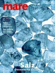 Cover von Salz