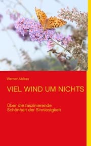 Cover von VIEL WIND UM NICHTS