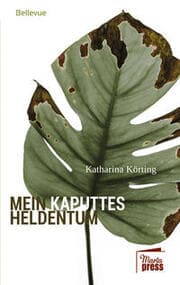 Cover von Mein kaputtes Heldentum