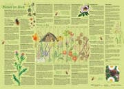 Cover von Erlebnisposter 'Bienen im Blick'
