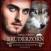 Cover von Bruderzorn, Episode 22 - Fantasy-Serie