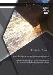Cover von Betriebliches Gesundheitsmanagement: Theoretische Grundlagen und Konzepterstellung für ein mittelständisches Industrieunternehmen