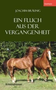 Cover von Ein Fluch aus der Vergangenheit