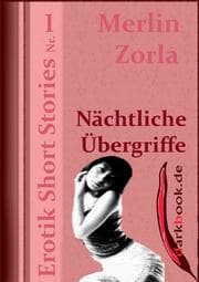 Cover von Nächtliche Übergriffe