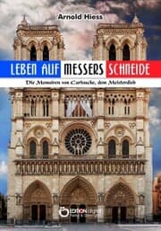Cover von Leben auf Messers Schneide