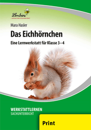 Cover von Das Eichhörnchen