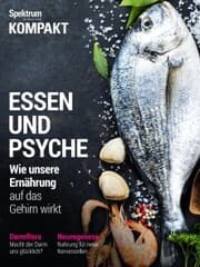 Cover von Spektrum Kompakt - Essen und Psyche