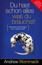 Cover von Du hast schon alles, was du brauchst!