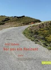 Cover von Vor uns ein Horizont
