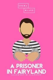 Cover von A Prisoner in Fairyland , The Pink Classics