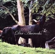 Cover von Der Auerochs