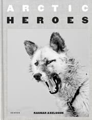 Cover von Arctic Heroes