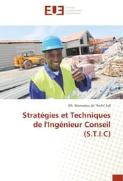 Cover von Stratégies et Techniques de l'Ingénieur Conseil (S.T.I.C)
