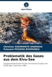 Cover von Problematik des Gases aus dem Kivu-See