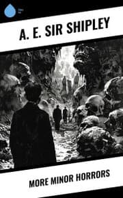 Cover von More Minor Horrors