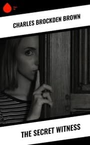 Cover von The Secret Witness