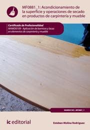 Cover von Acondicionamiento de la superficie y operaciones de secado en productos de carpintería y mueble. MAMD0109