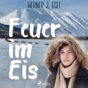 Cover von Feuer im Eis