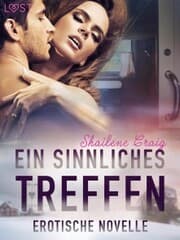 Cover von Ein sinnliches Treffen - Erotische Novelle