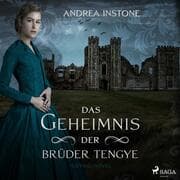 Cover von Das Geheimnis der Brüder Tengye