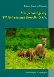 Cover von Min personlige vej Til Helvede med Borrelia & Co.