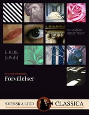 Cover von Förvillelser