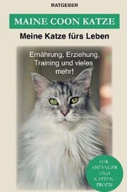 Cover von Maine Coon Katze