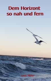 Cover von Dem Horizont so nah und fern
